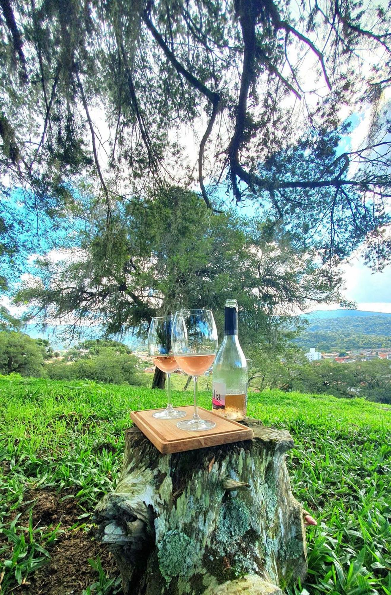 Cabana Canto Lindo - Urubici-Sc Extérieur photo